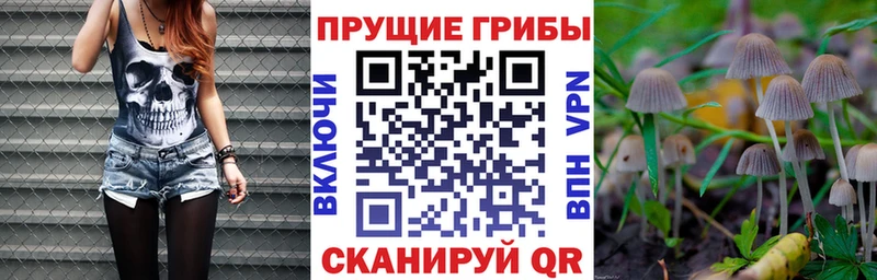 Псилоцибиновые грибы GOLDEN TEACHER  ссылка на мегу ONION  Слюдянка  купить  